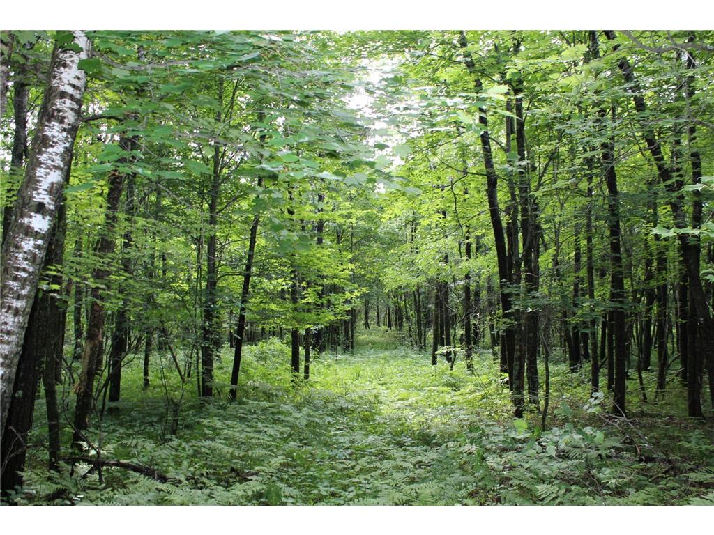 XXX Anderson Road Grantsburg WI 54840 7003587 image24