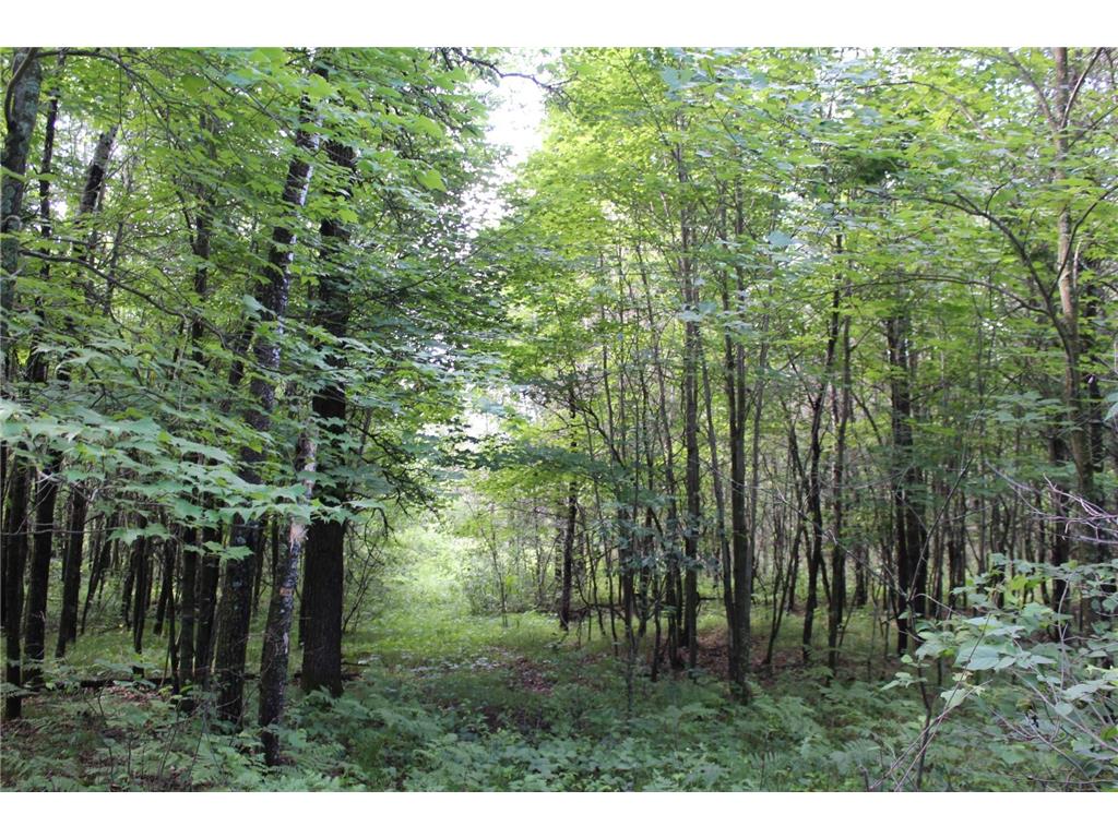 XXX Anderson Road Grantsburg WI 54840 7003587 image25