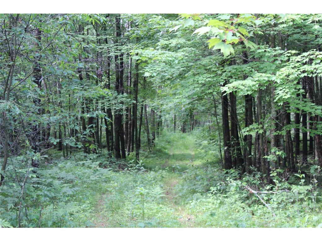 XXX Anderson Road Grantsburg WI 54840 7003587 image26