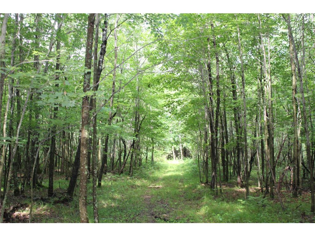 XXX Anderson Road Grantsburg WI 54840 7003587 image27