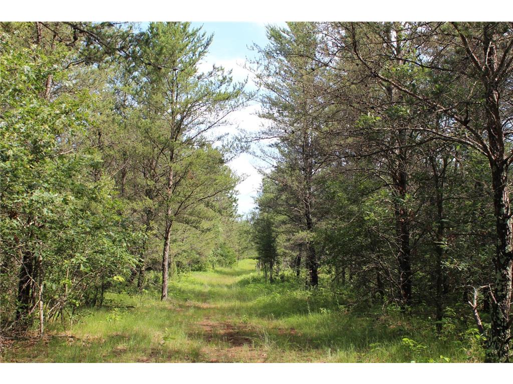 XXX Anderson Road Grantsburg WI 54840 7003587 image6