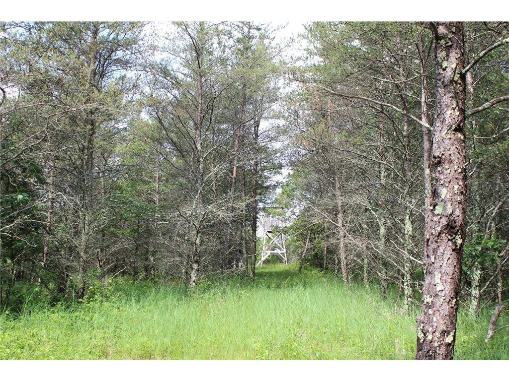 XXX Anderson Road Grantsburg WI 54840 7003587 image7