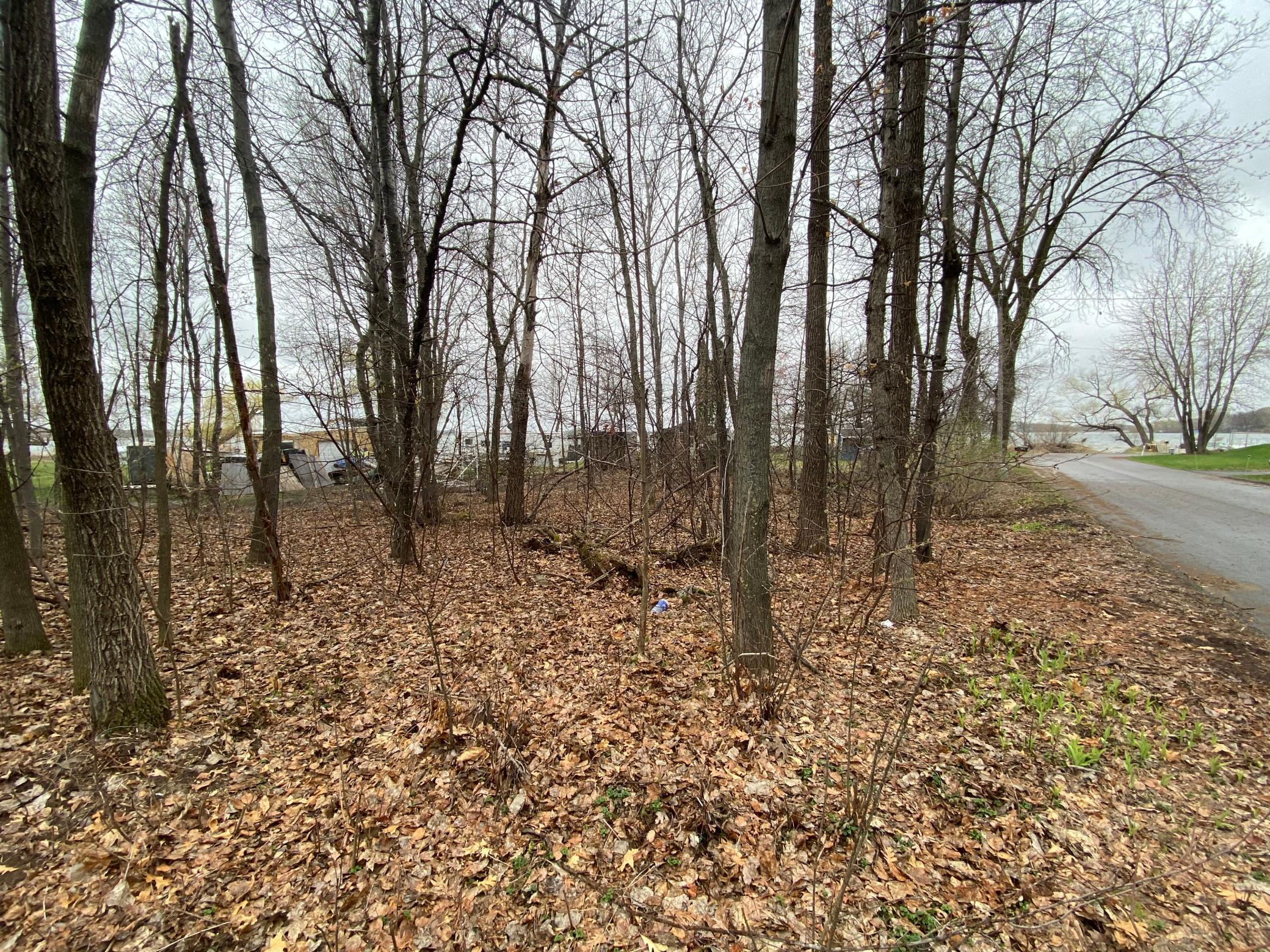 XXX Aspen Road, East Bethel, MN 55092 MLS 5737930 Edina Realty