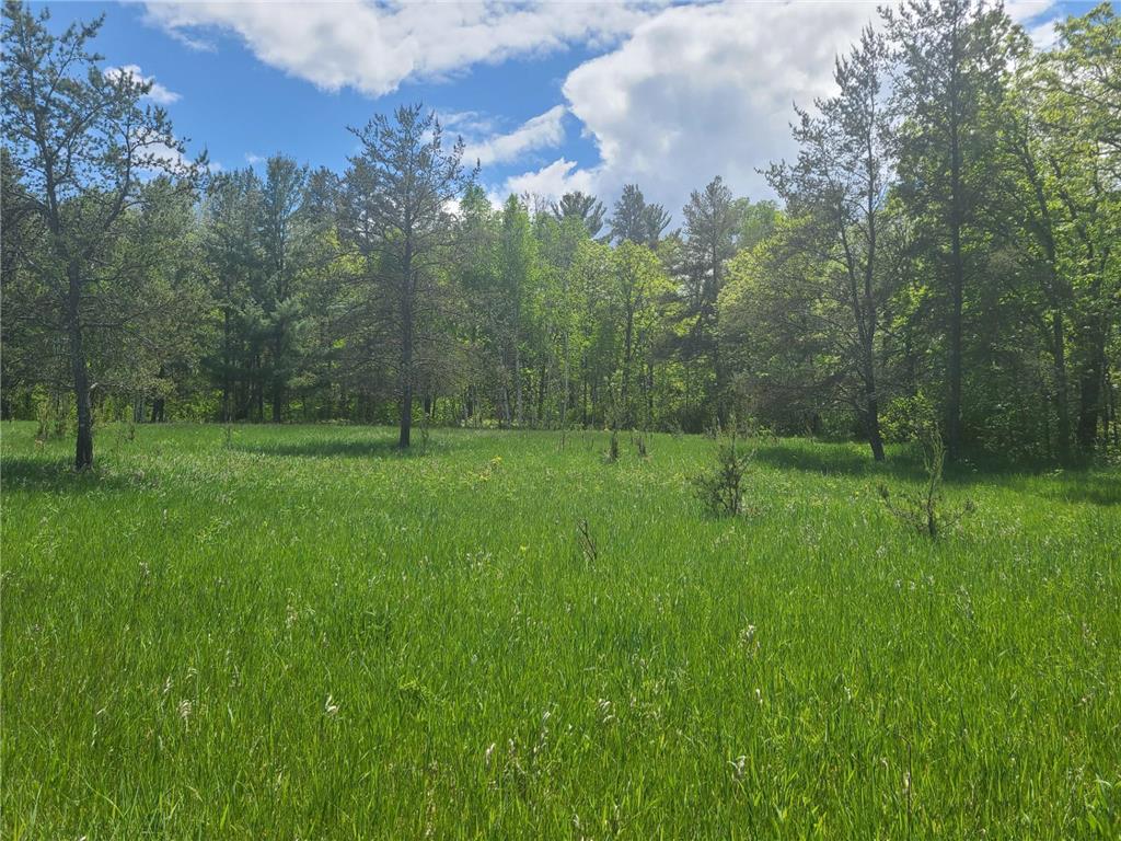 XXX Arrowhead Drive Pine River MN 56474 6490072 image1