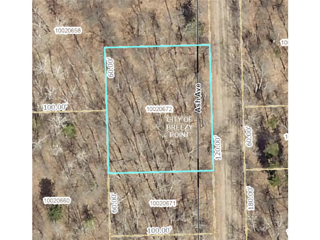 XXX Ash Avenue Breezy Point MN 56472 6527136 image1