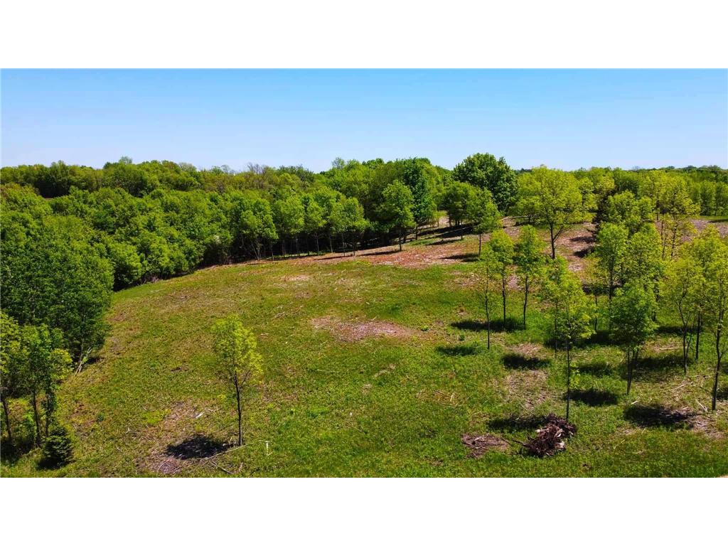 XXX Bagley Avenue, Dundas, MN, 55019 MLS 6180515 Edina Realty