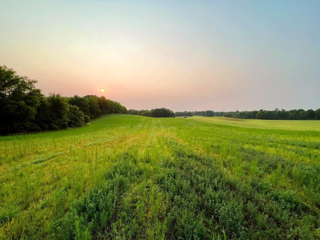 XXX Baker Avenue NW, Maple Lake Twp, MN, 55313 MLS 6425555 Edina