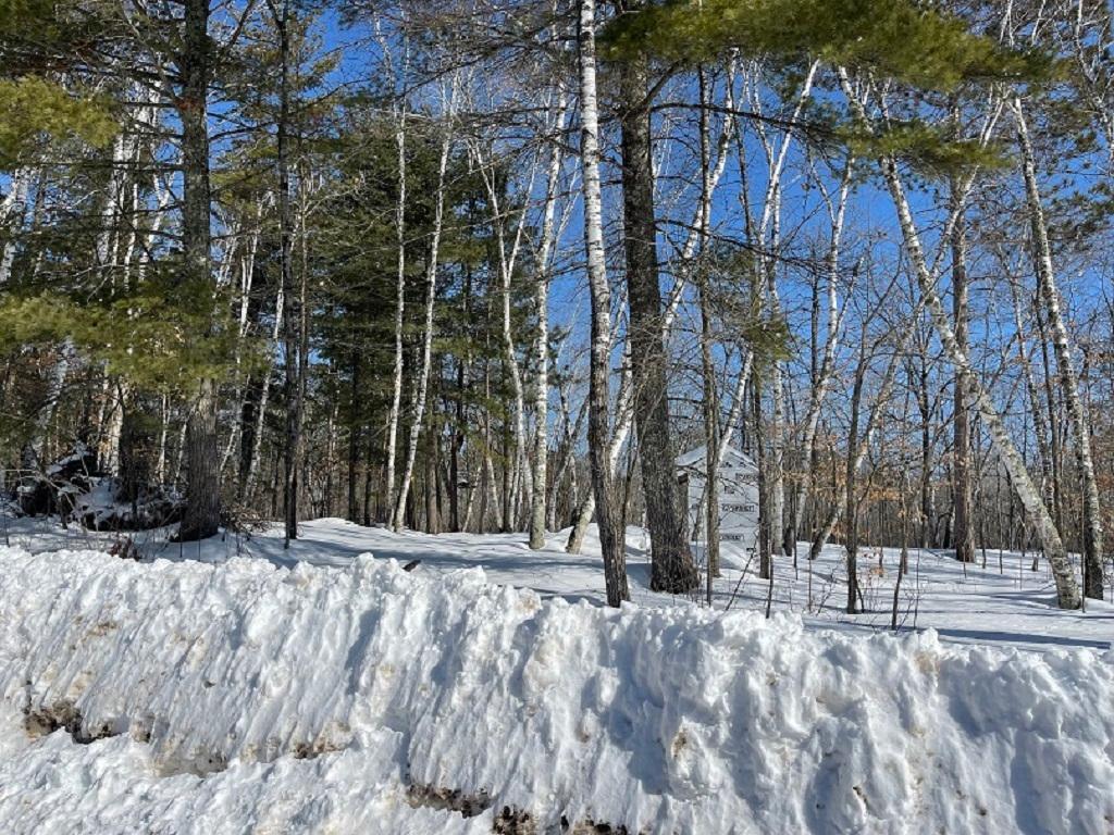 XXX Bald Eagle Trail Nevis MN 56467 6343867 image1