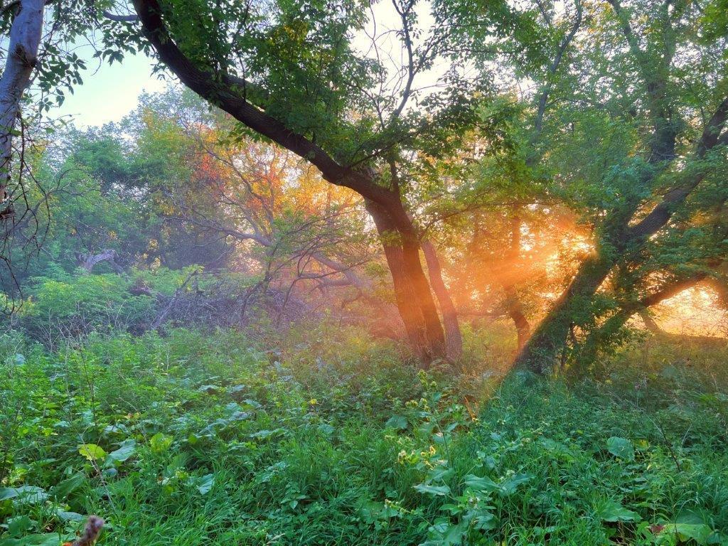 XXX Bank 80 Road SE Osakis Twp MN 56360 6422693 image1