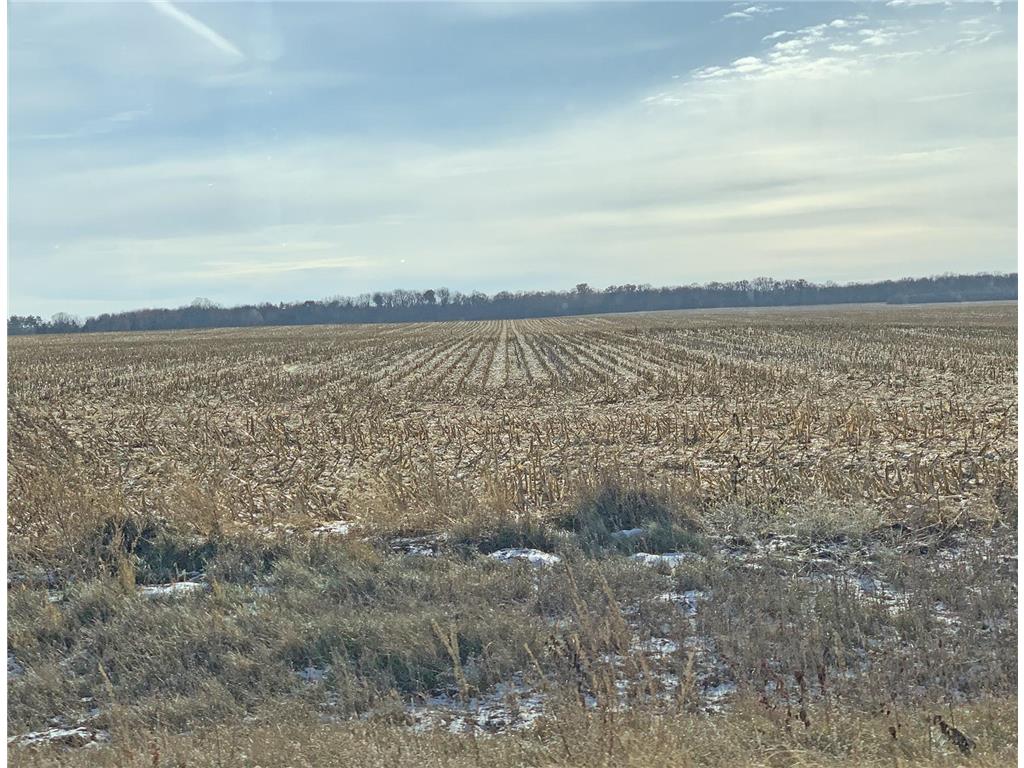 XXX Barron-Dunn Avenue Clear Lake WI 54005 6464181 image1