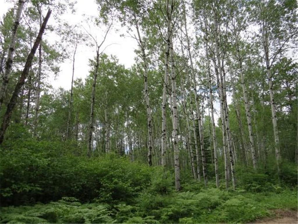 XXX Bear Island Cabin Road, Babbitt, MN 55706 MLS 6177928 Edina Realty