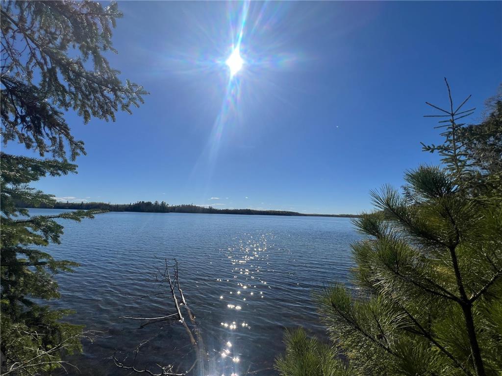 XXX Becker Road, Marcell Twp, MN, 56657 MLS 6204838 Edina Realty