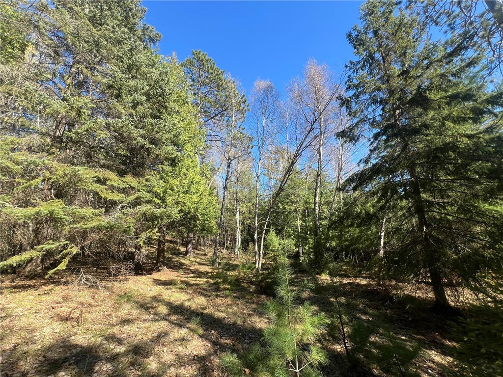 XXX Becker Road, Marcell Twp, MN, 56657 MLS 6204838 Edina Realty