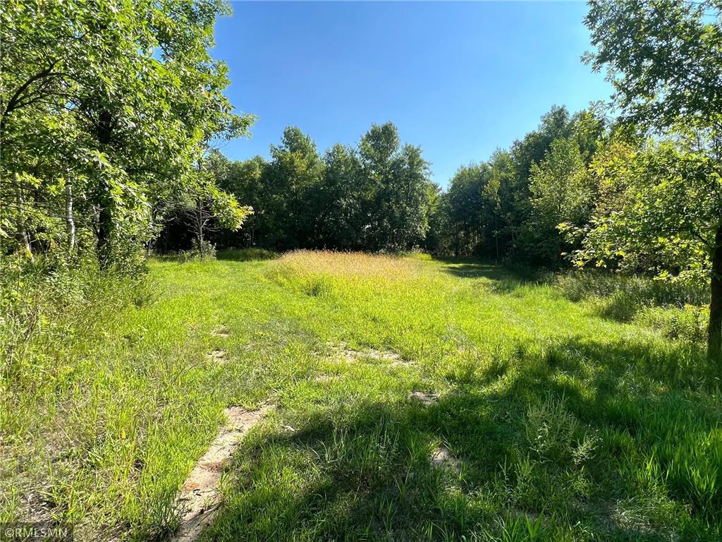 XXX Bice Avenue NW Buffalo MN 55313 6423018 image1