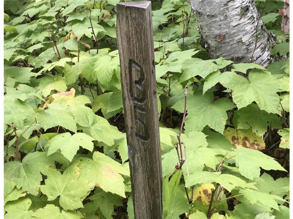 XXX Big Cedar Trl Lutsen Twp MN 55612 7026537 image6