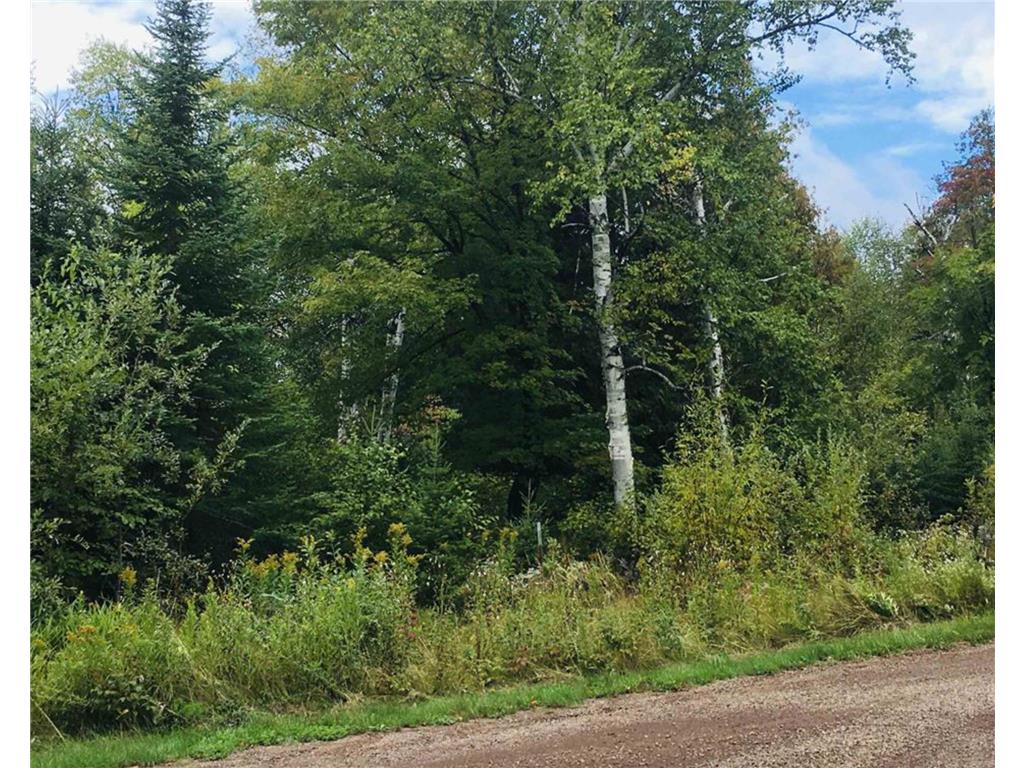 XXX Big Cedar Trl Lutsen Twp MN 55612 7026537 image9