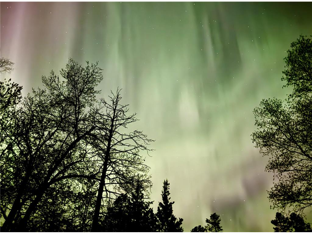 XXXX Birch Bay Drive NE Outing MN 56662 - Donut 6630992 image1