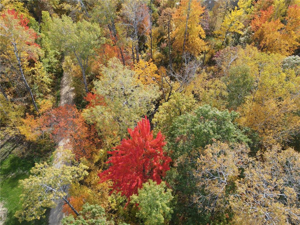 XXX Blackberry Trail NW, Hackensack, MN 56452 MLS 6260324 Edina Realty