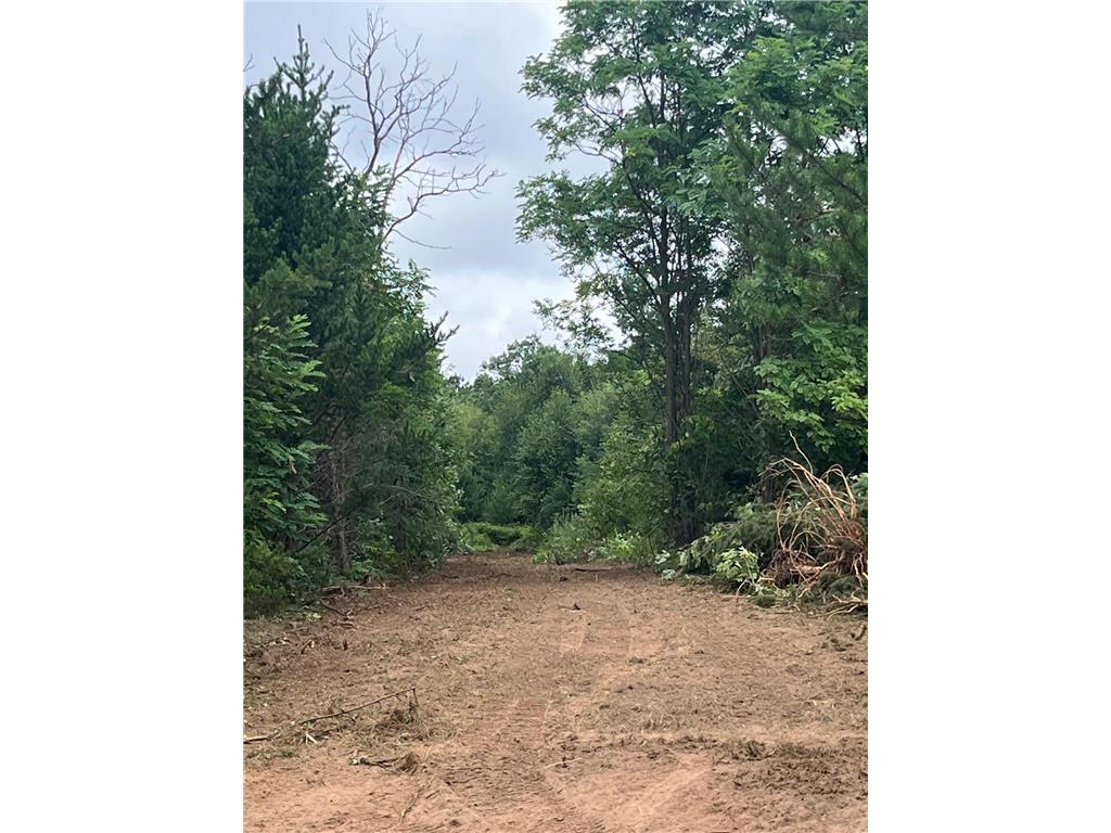 XXX Bluebird Trail Webster WI 54893 6773026 image1