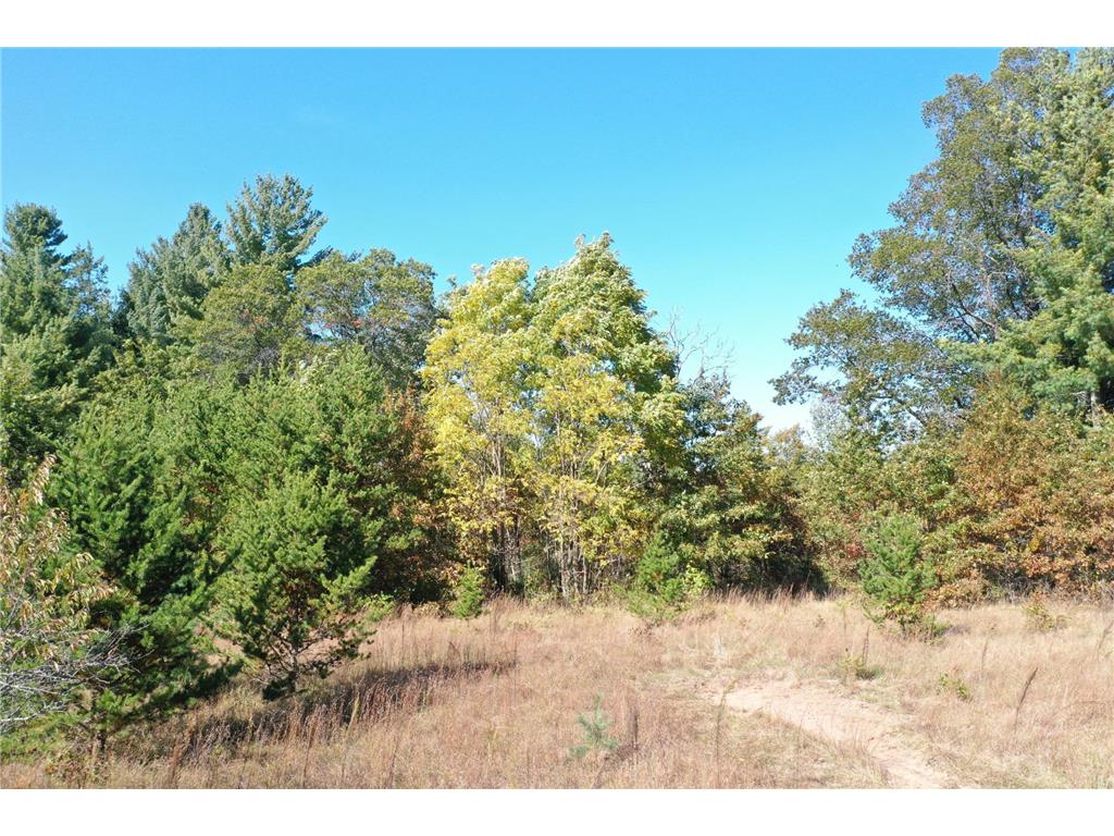 XXX Bluebird Trail Webster WI 54893 6773026 image2