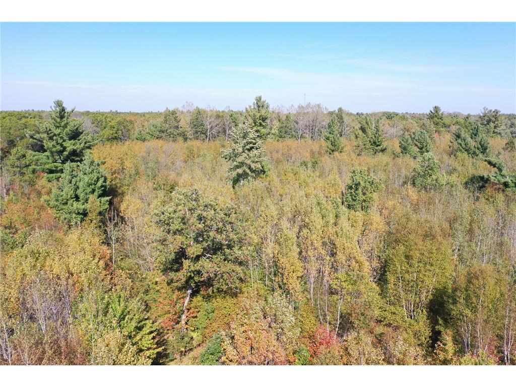 XXX Bluebird Trail Webster WI 54893 6773026 image5