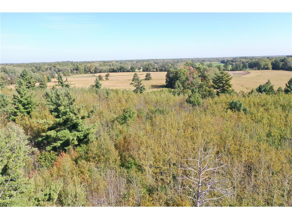 XXX Bluebird Trail Webster WI 54893 6773026 image6