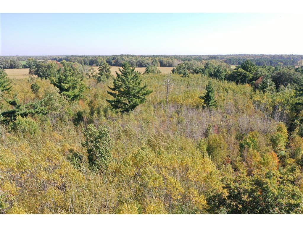 XXX Bluebird Trail Webster WI 54893 6773026 image9