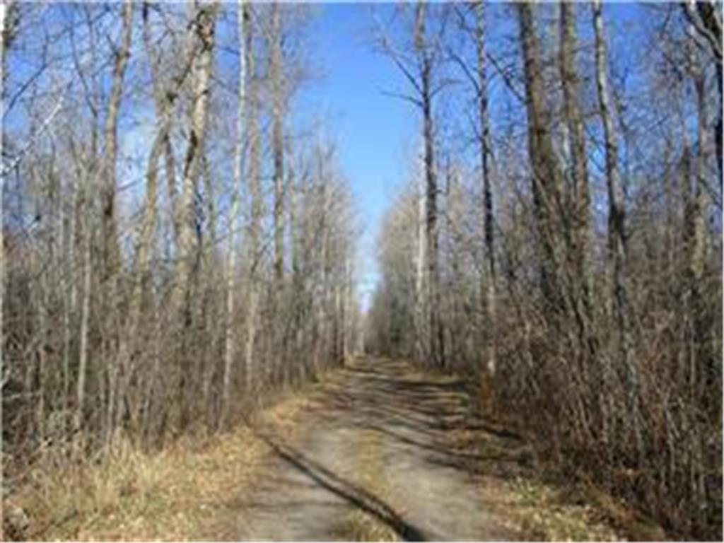 XXX Boreal Rd Meadowlands MN 55765 6354292 image1