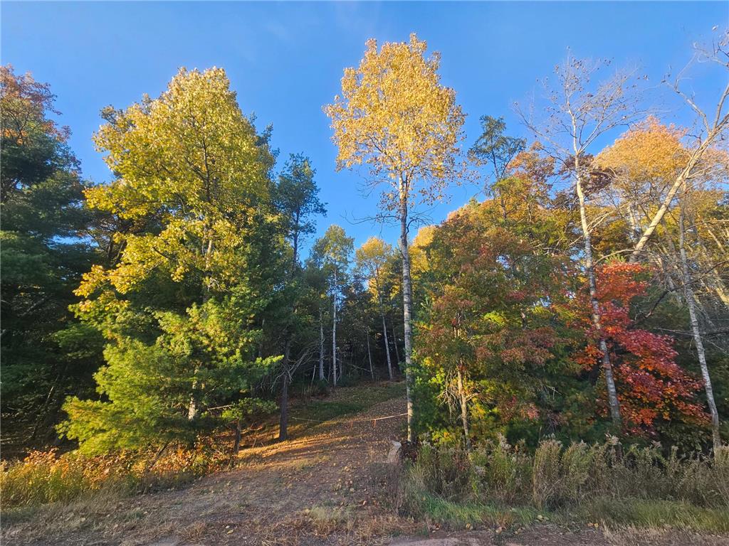 XXX Bushey Road Danbury WI 54830 6620019 image1