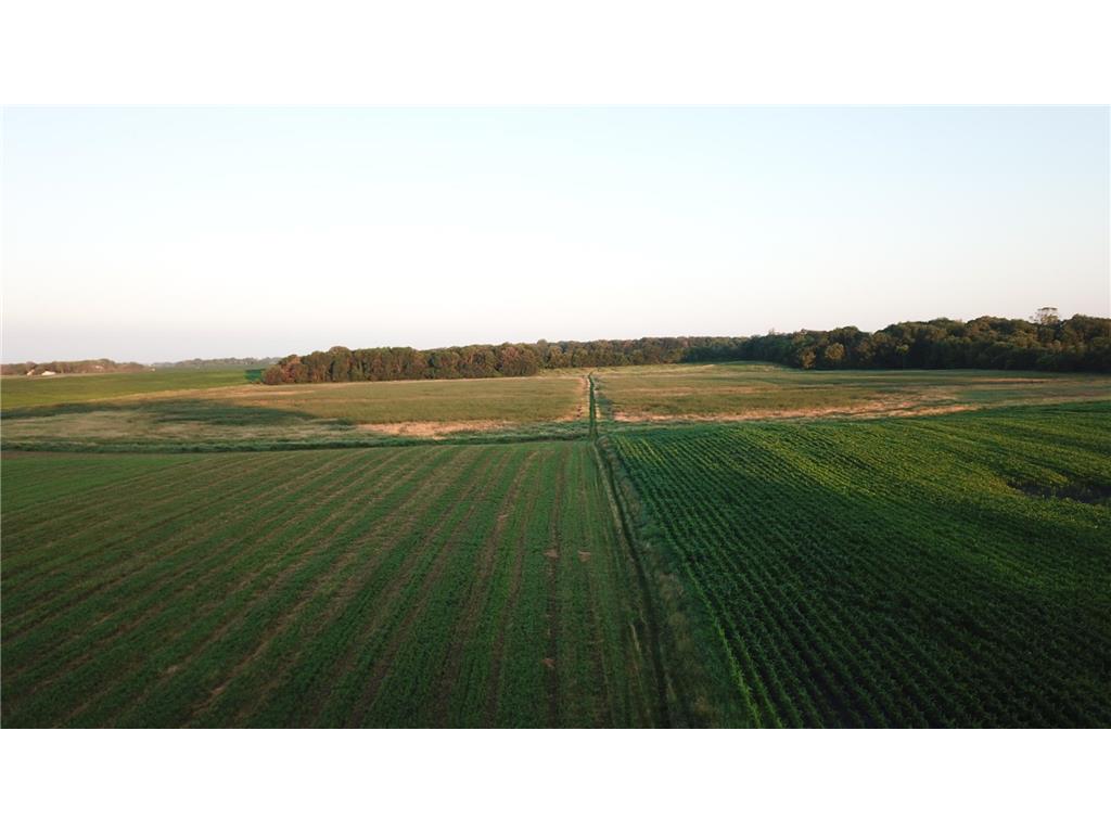 XXX CR4 / Major Ave Hassan Valley Twp MN 55350 6628393 image1