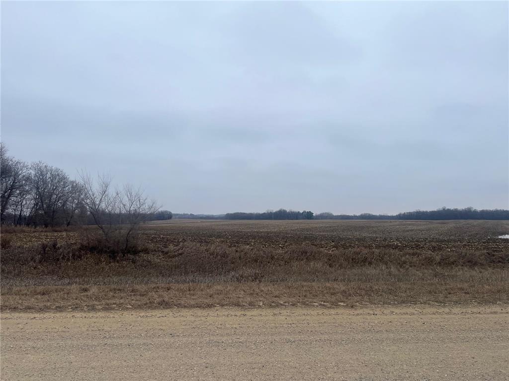 XXX CSAH 3 Grove City MN 56243 - Crow River 6474261 image1