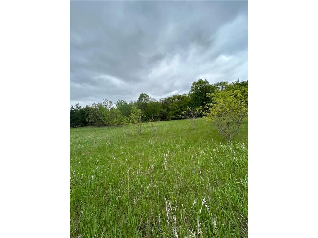 XXX Calico Trail Motley MN 56466 - Crow Wing River 6733247 image1