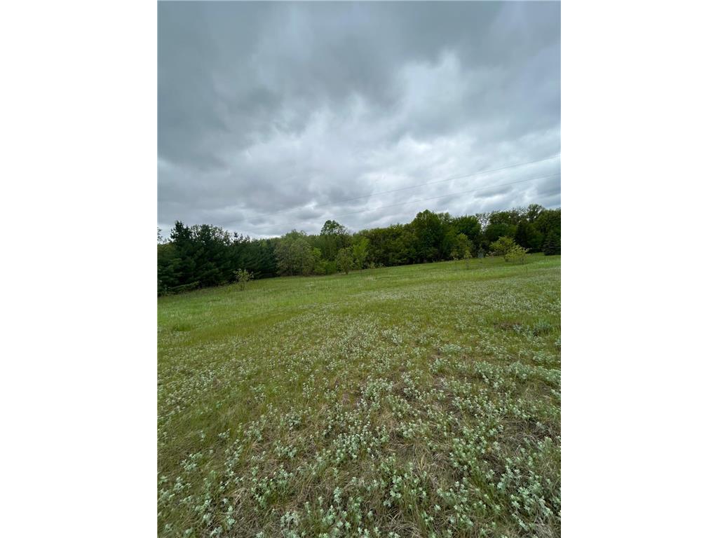 XXX Calico Trail Motley MN 56466 - Crow Wing River 6733247 image2