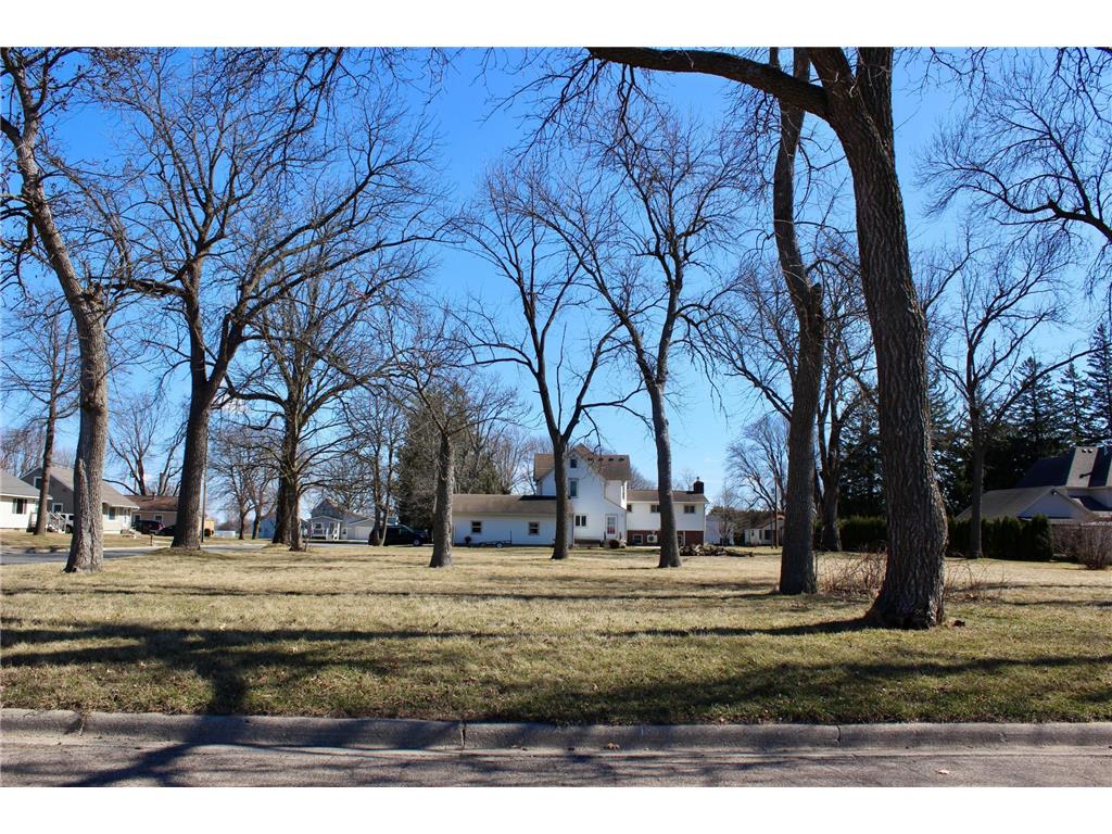XXX Center Avenue N Blooming Prairie MN 55917 6504127 image1