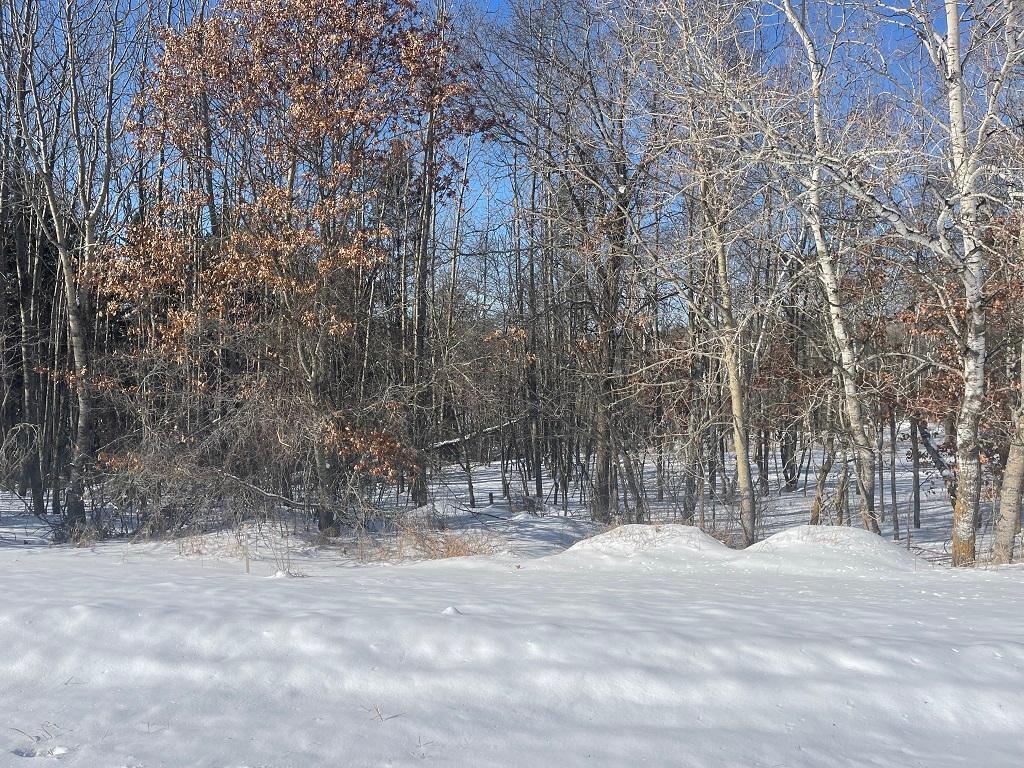 XXX Charles Lane Park Rapids MN 56470 6671014 image1