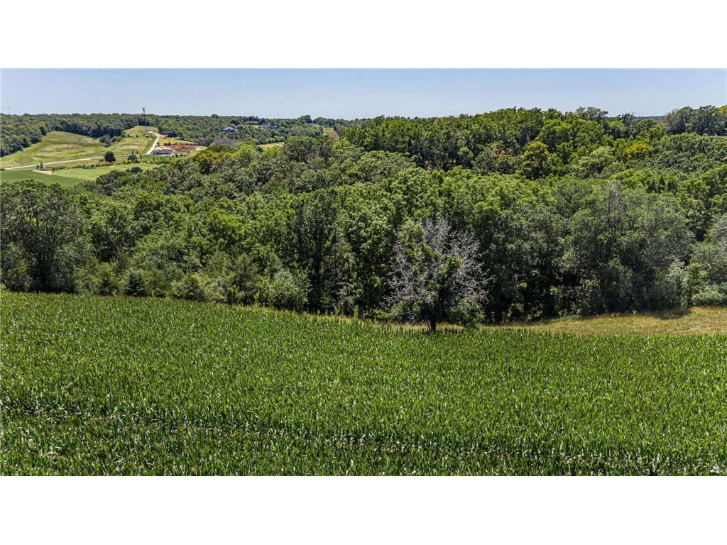 4700 Country Club Road W Rochester Twp MN 55902 6405785 image4