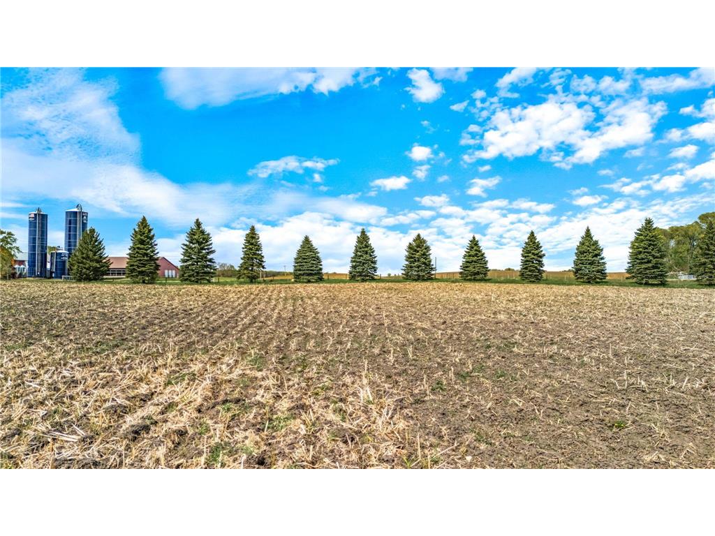 XXX County 10 Corcoran MN 55340 7041000 image10