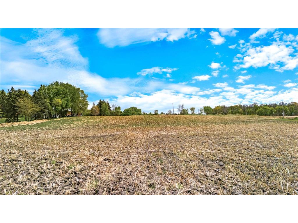 XXX County 10 Corcoran MN 55340 7041000 image11