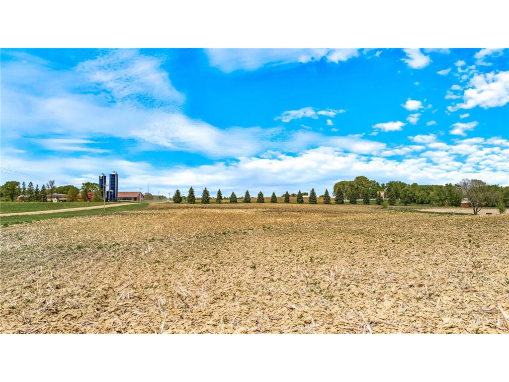 XXX County 10 Corcoran MN 55340 7041000 image14