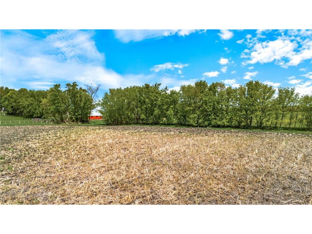 XXX County 10 Corcoran MN 55340 7041000 image2