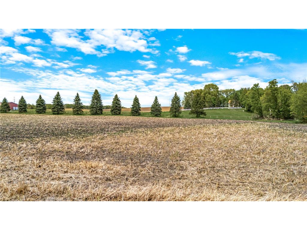 XXX County 10 Corcoran MN 55340 7041000 image3