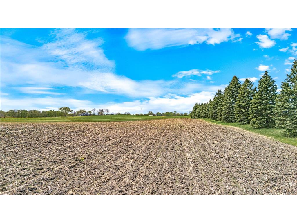 XXX County 10 Corcoran MN 55340 7041000 image6