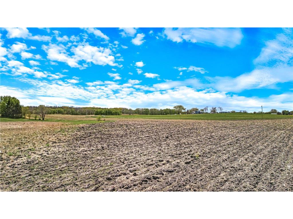 XXX County 10 Corcoran MN 55340 7041000 image8