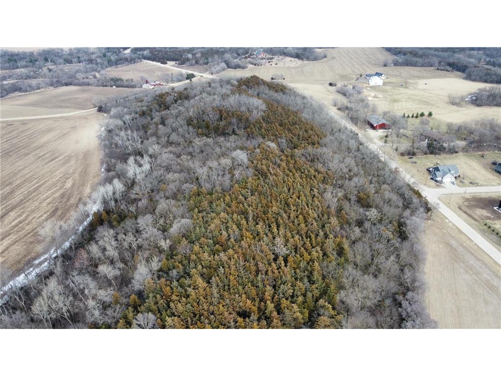 XXX County 17 Cannon Falls MN 55009 7040865 image3