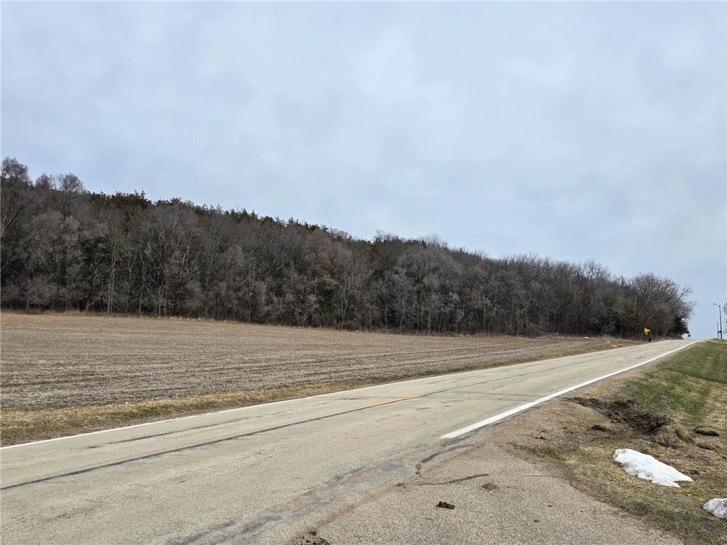 XXX County 17 Cannon Falls MN 55009 7040865 image7