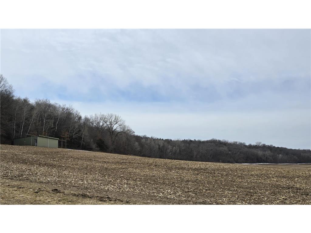 XXX County 17 Cannon Falls MN 55009 7040865 image8