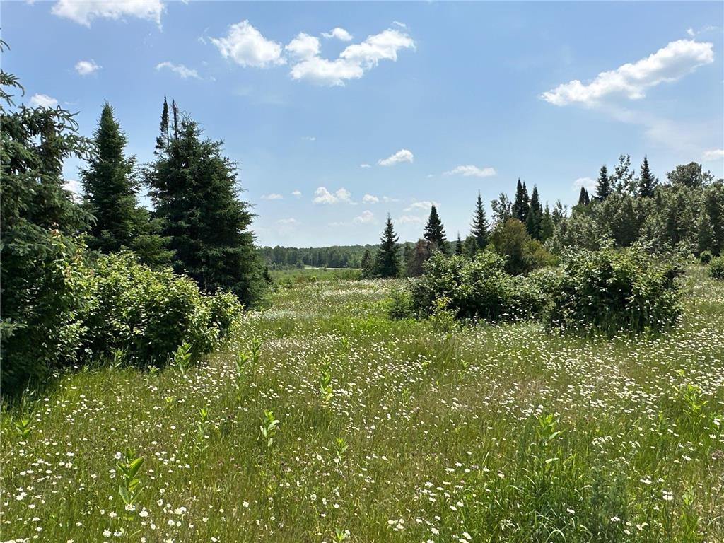 XXX County 4 NE Slater Twp MN 56672 6392673 image1