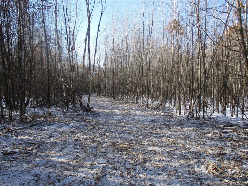 XXX County Highway H Rusk Twp WI 54801 6479906 image1