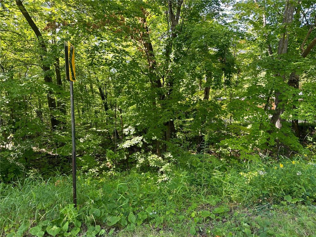 XXX County Rd 138 Garrison MN 56450 6757093 image10