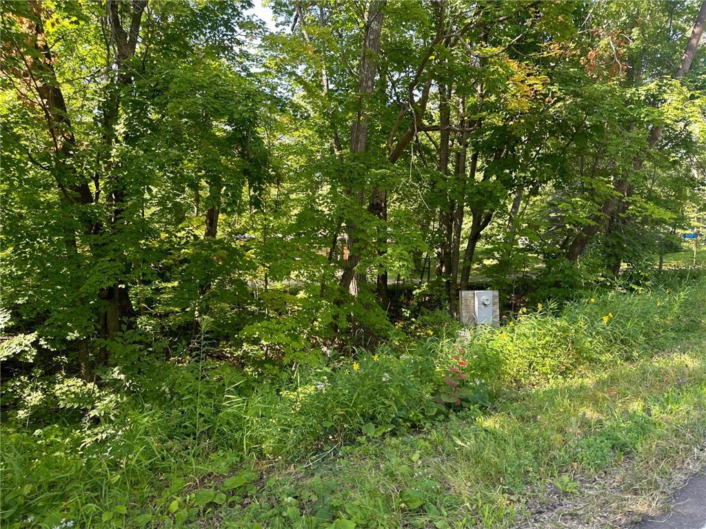 XXX County Rd 138 Garrison MN 56450 6757093 image11